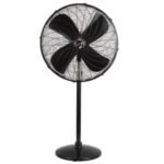 Pedestal Fan