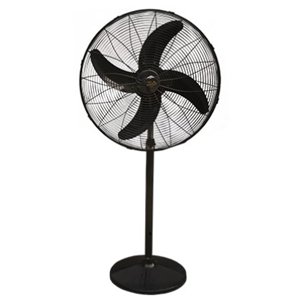 wahid Pedestal Fan